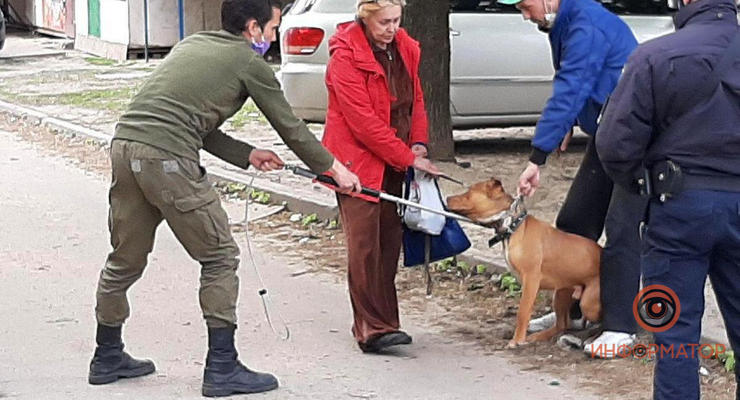 В Днепре бойцовский пес сорвался с поводка и покусал людей