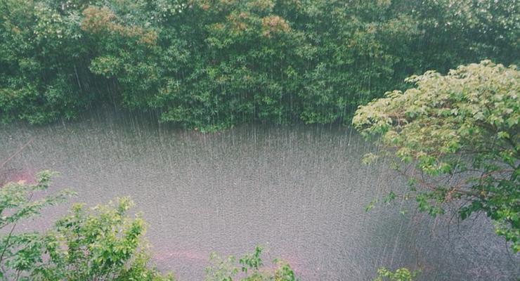 Погода в Украине на 30 апреля: Дожди