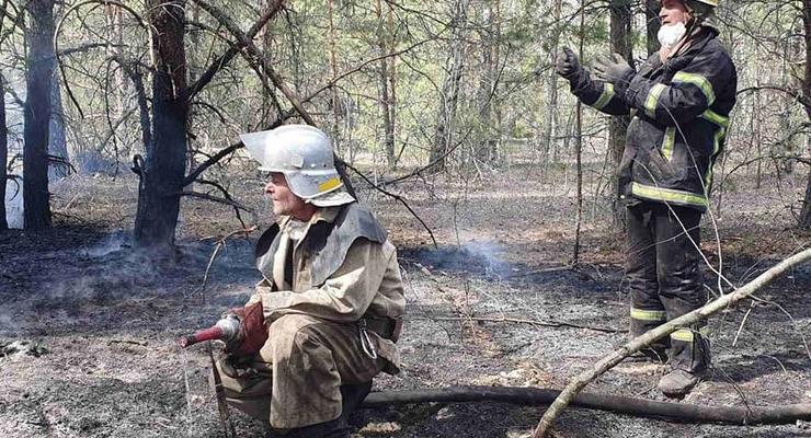 Пожары на Житомирщине и в зоне ЧАЭС локализованы