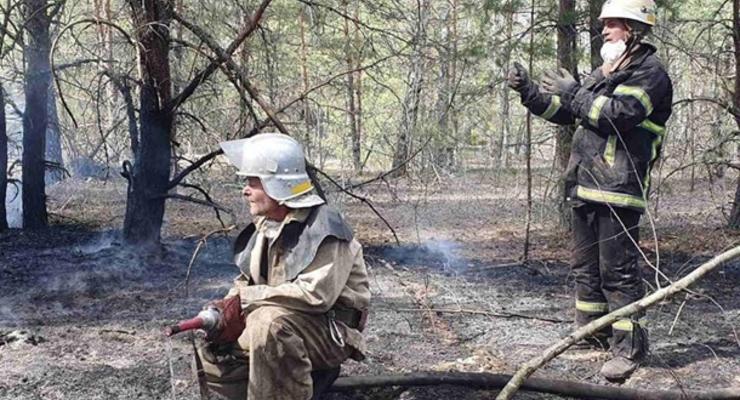 На Житомирщине потушили еще один лесной пожар