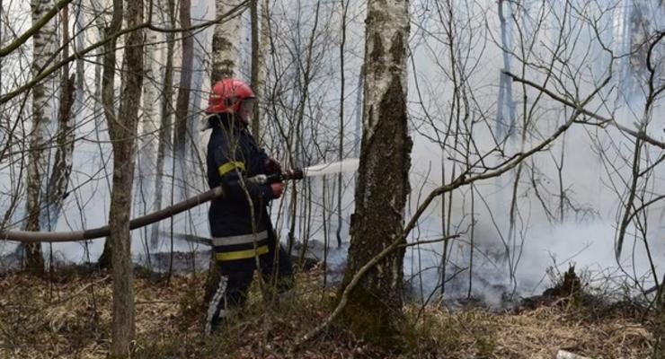 В Киевской и Житомирской областях продолжается тушение пожаров