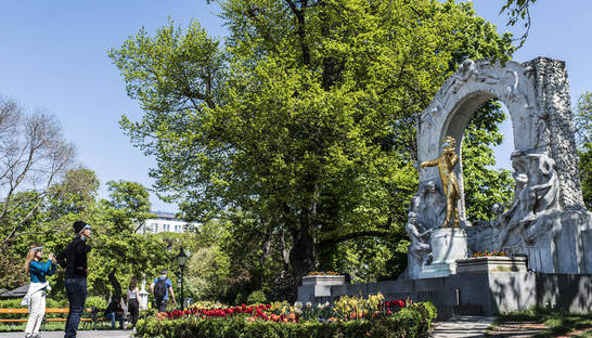 Словакия, Чехия и Австрия обсуждают взаимное открытие границ