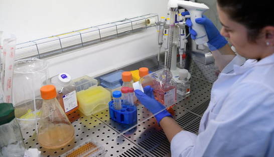 COVID-19 в Киеве: Обновленные данные о заболевших в каждом районе города