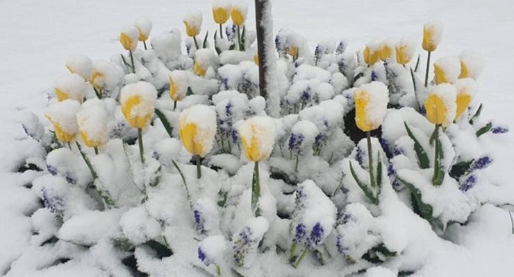 Восточную Европу засыпало снегом