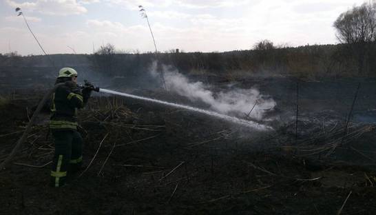В Киеве ликвидировали возгорание торфа