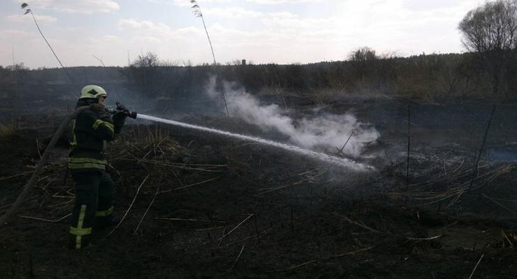 В Киеве ликвидировали возгорание торфа