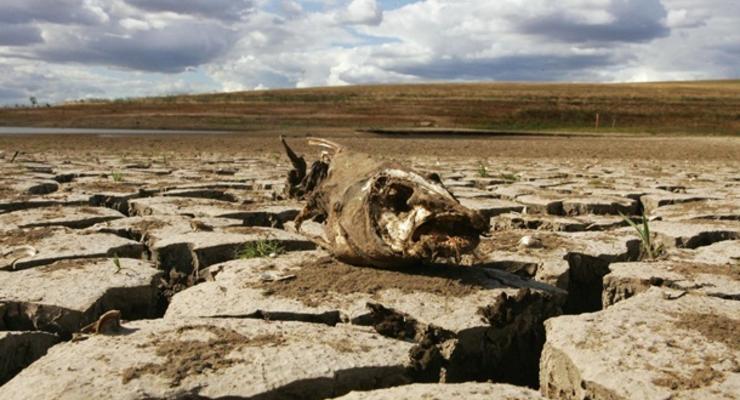Тысячи людей в мире уже умирают от климатического кризиса - ученые