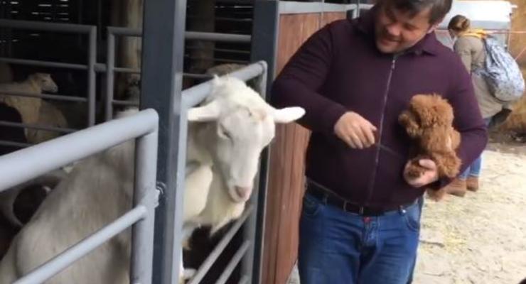 "Козлина дурная": Экс-глава ОП Богдан подергал за уши козла в зоопарке