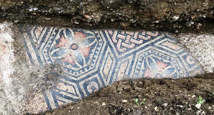 Древнеримскую мозаику обнаружили под виноградником в Италии