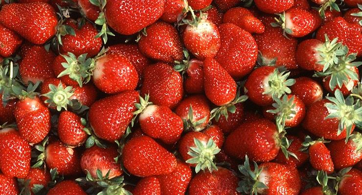 Цены на фрукты и ягоды в Украине достигли исторического максимума