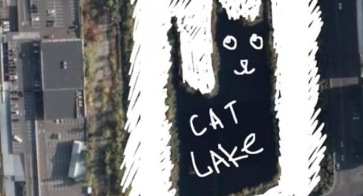 В центре Киева нашли озеро в форме кота: появились фото