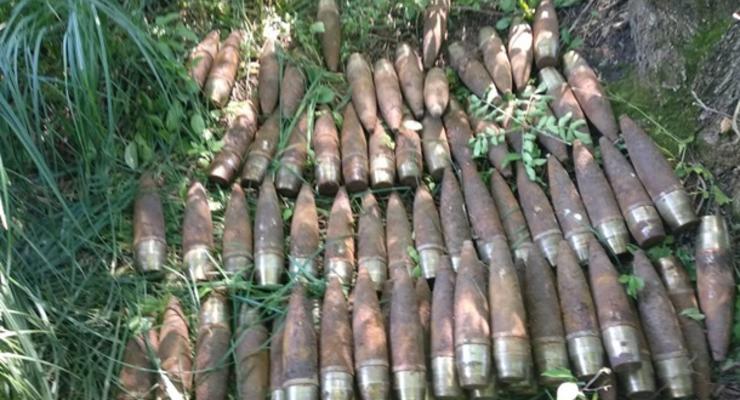 В Винницкой области в парке нашли более 700 снарядов