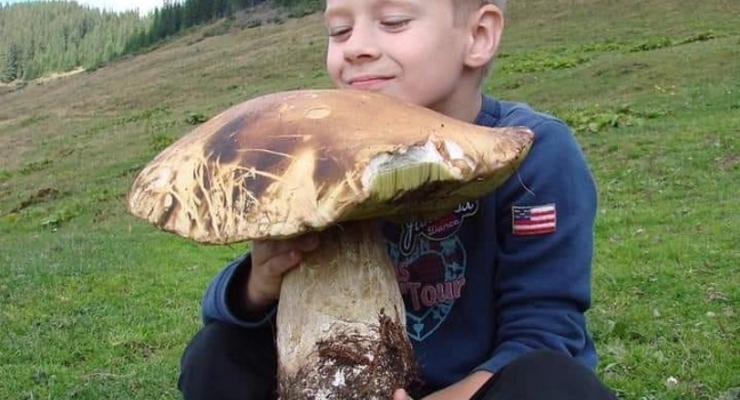На Закарпатье нашли гриб-гигант