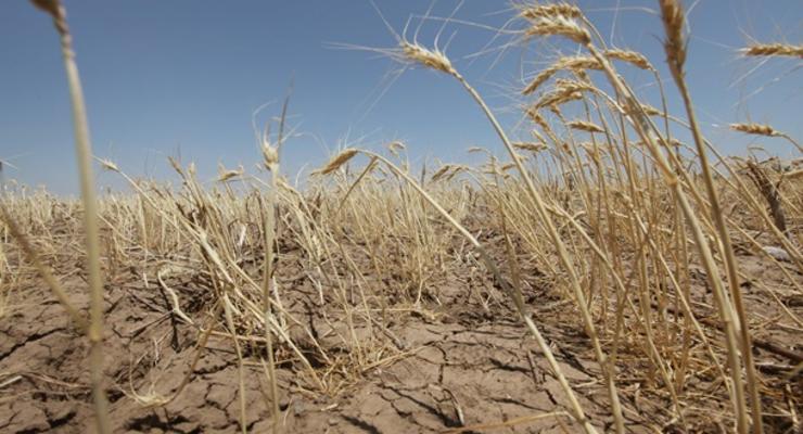 В СНБО опасаются засухи в Украине