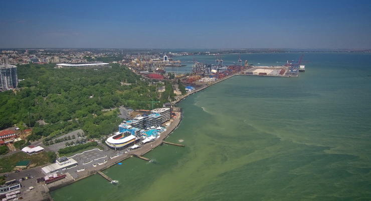 Показаны фото, как “цветущее” в Одессе море выглядит из космоса