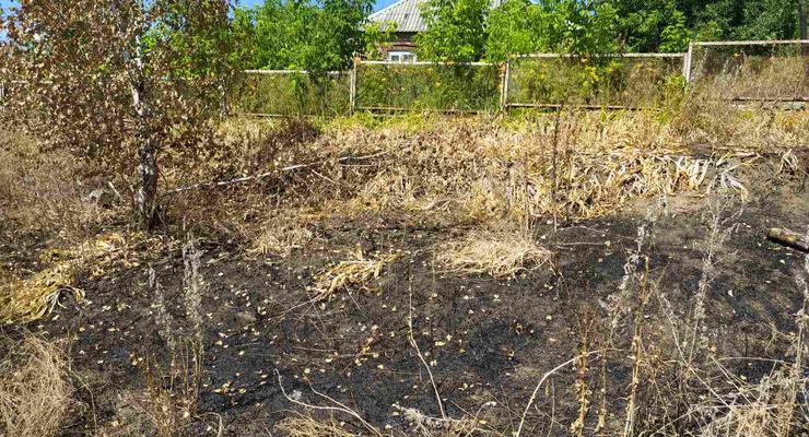 Под Харьковом пенсионерка погибла, сжигая сухую траву