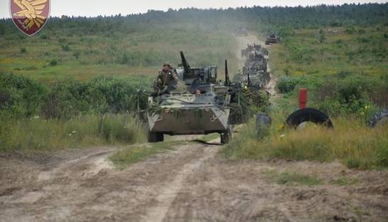 Минобороны показало кадры учений десантно-штурмовой бригады