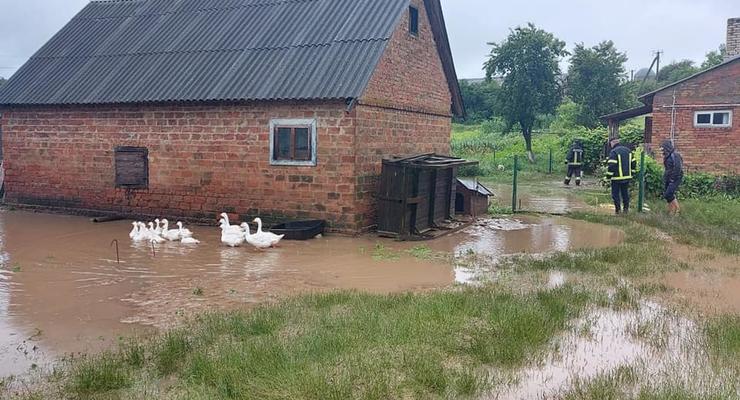 В Ровенской области дома ушли под воду из-за непогоды