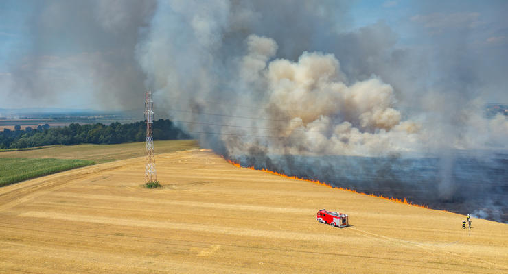 На Черниговщине во время пожара сгорел будущий урожай на полях