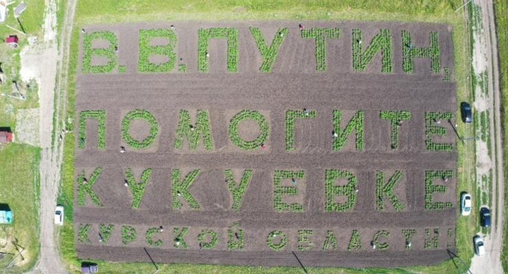 На фото показали послание селян к Путину в поле с картошкой