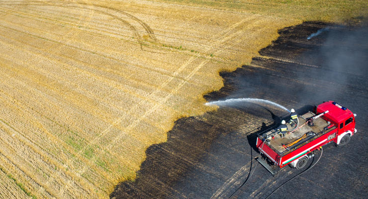 На Луганщине пожар уничтожил посевы пшеницы