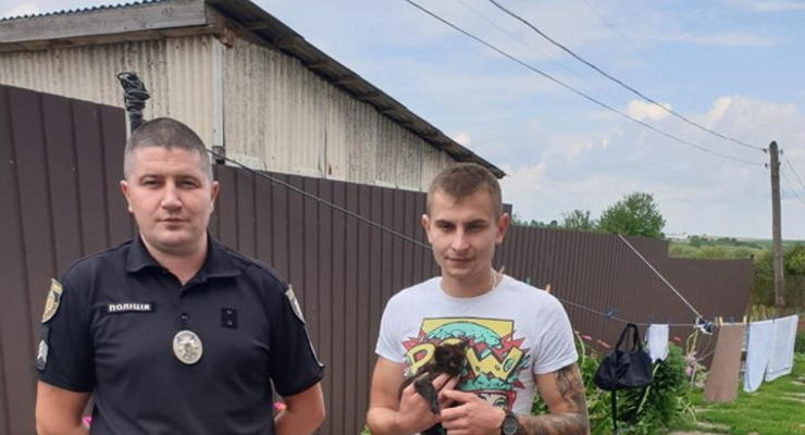 Житель Западной Украины закатал котенка в банку и снял видео