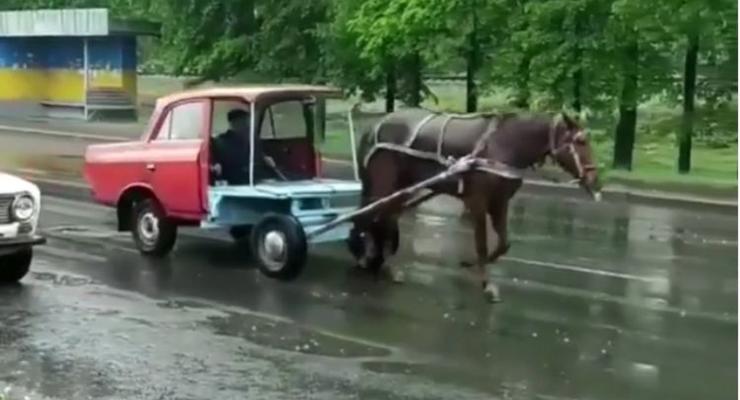 По улицам Ровно бегает лошадь, запряженная в половину старого “Москвича”