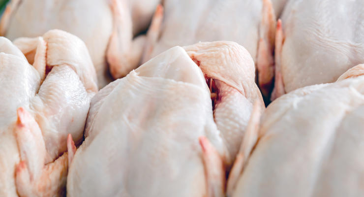 На одесские рынки попала польская курятина с сальмонеллой