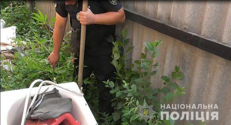 На Харьковшине полиция изъяла 100 кустов конопли