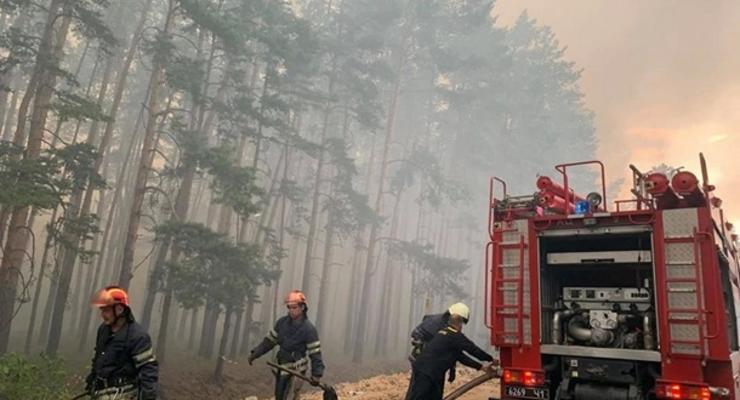 Площадь лесных пожаров в Украине возросла в 40 раз
