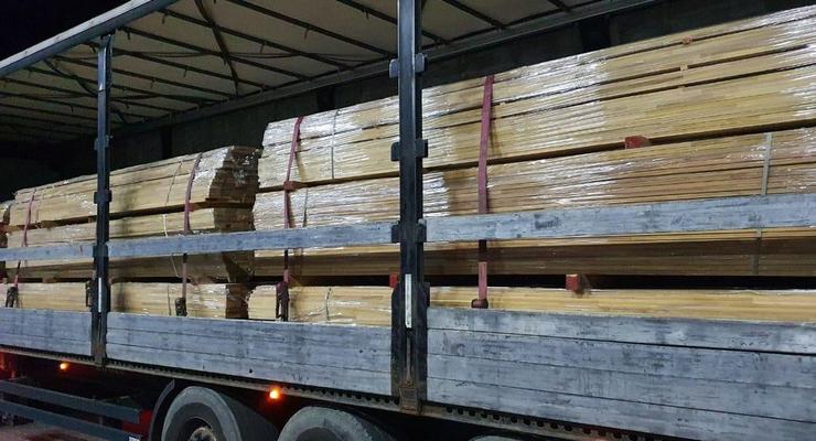 СБУ перехватила контрабанду ценной древесины, которую везли в ЕС