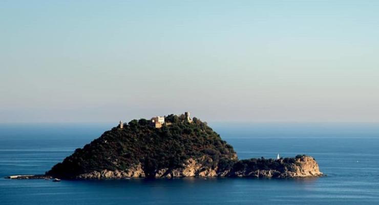 В Италии изучают покупку острова сыном экс-владельца Мотор-Сичи
