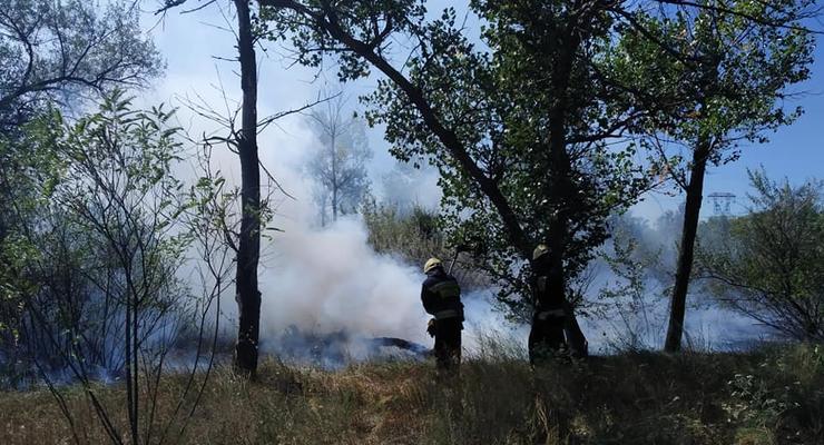 На видео показали, как в Днепре чуть не сожгли лес во время отдыха