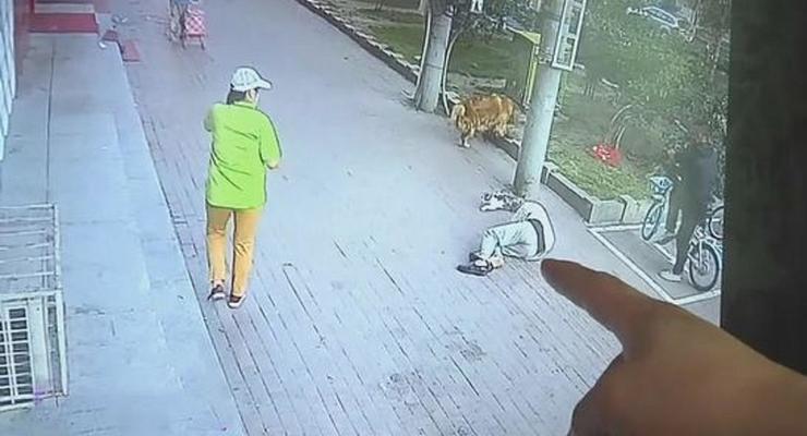 В Китае упавший с высоты кот покалечил пенсионера