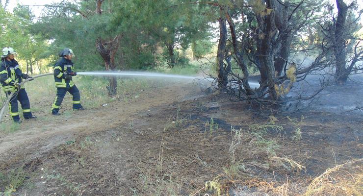 На Луганщине больше 40 пожарных тушат горящий лес