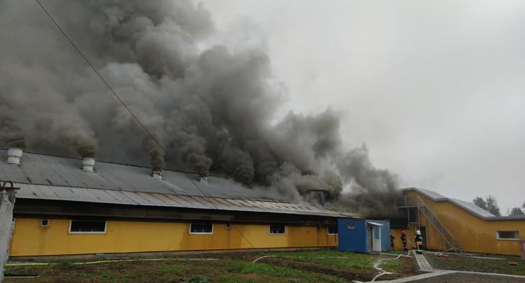 На Прикарпатье разбушевался сильный пожар на свиноферме