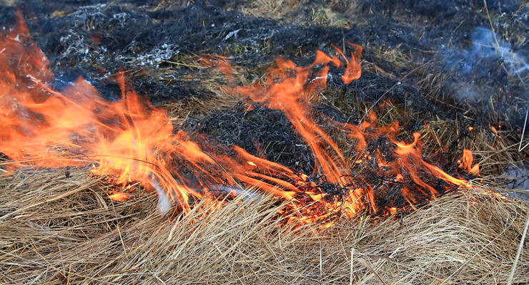 Житель Сумской области сжигал сухую траву и погиб