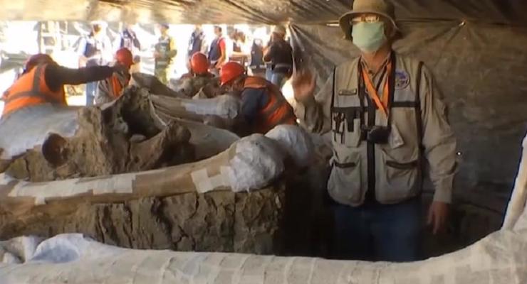 В Мексике на стройке нашли сотни скелетов мамонтов