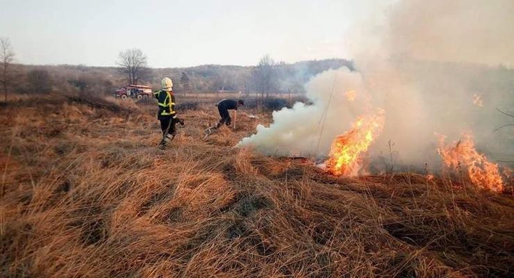 В ГСЧС назвали основную причину возникновения лесных пожаров