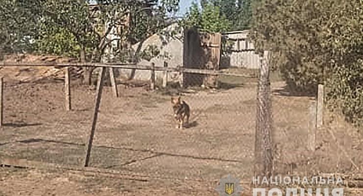 Житель Запорожской области натравил на оперативников злую собаку