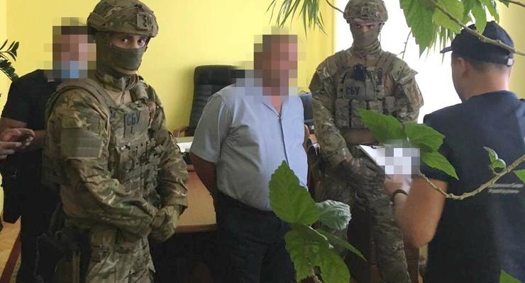 Главного налоговика Тернополя задержали за вымогательство