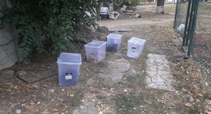 В Харькове девятерых котов бросили умирать в закрытых ящиках