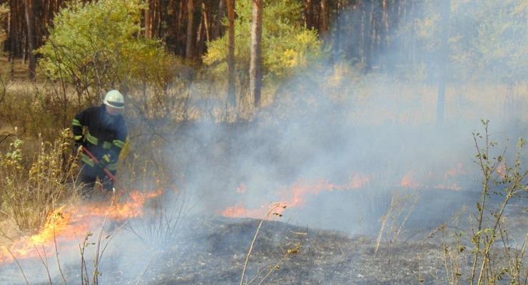 На Луганщине снова эвакуируют сёла из-за масштабных пожаров