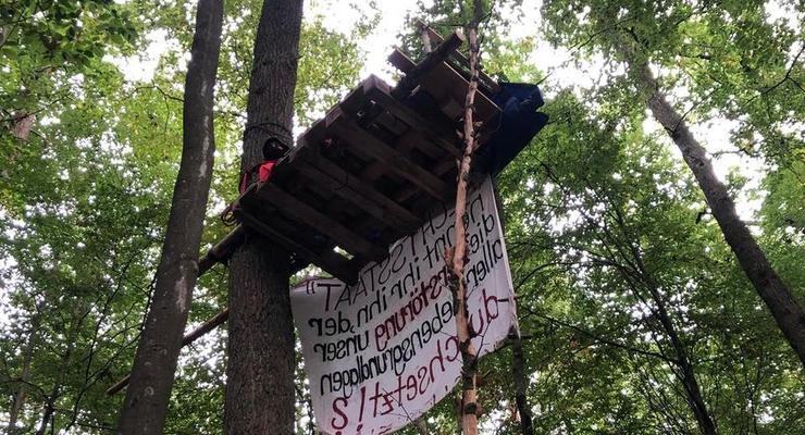 В Германии полиция зачищает лес от эко-активистов