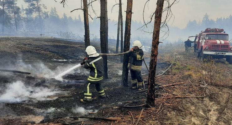 На Луганщине ликвидировали один из очагов пожаров