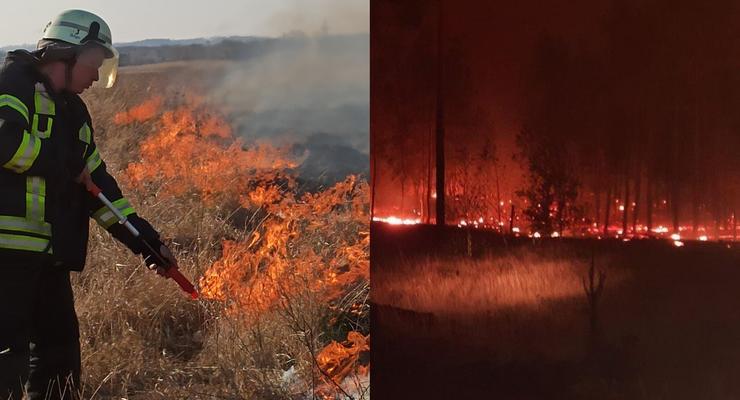 Луганщина в огне: Пожары все еще не потушены