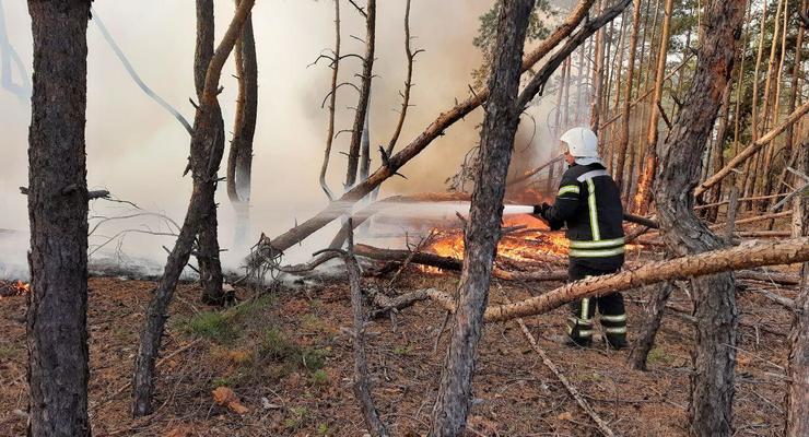 В Луганской области продолжают тушить лесные пожары