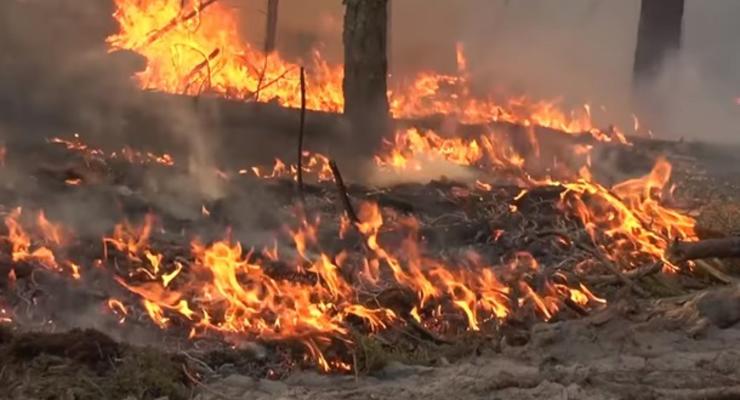 В МВД назвали возможные причины пожаров в Луганской области