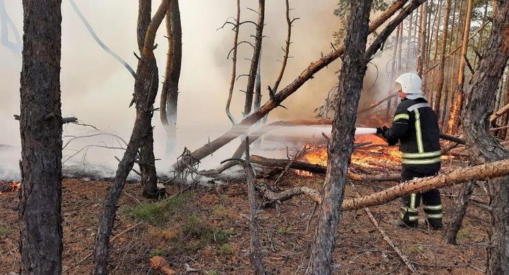 На Луганщине ликвидировали восемь очагов пожаров