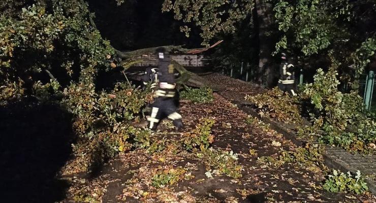 В Ивано-Франковске непогода снесла деревья, крыши и повредила машины
